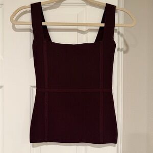 Zara Rich Burgundy Camisole Top